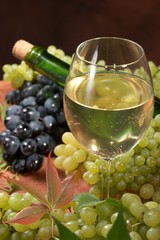 White dry wine, fresh clusters of a grapes