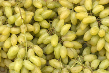 Uva da tavola (Vitis labrusca)