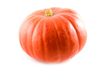 Orange pumpkin