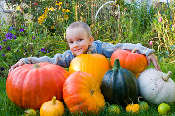 Boy with pumpkins