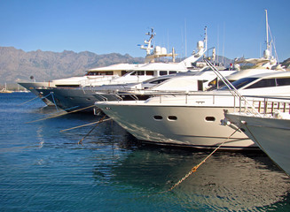 Fototapeta premium Yatchs amarrés dans le port de Calvi, Corse
