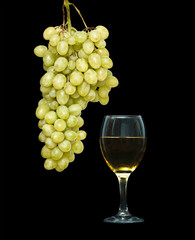 Goblet with wine and grapevine isolated on black background