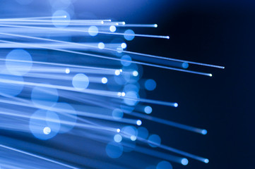 Optical fiber