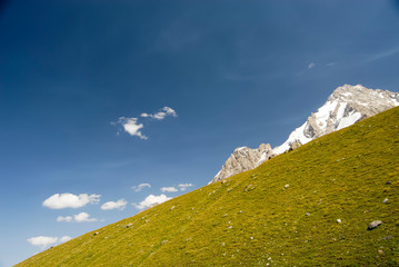 Fototapeta premium Green hill