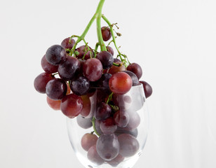 Calice d'uva