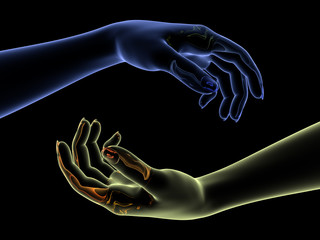 Translucent Hands