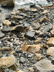 Shore Rocks