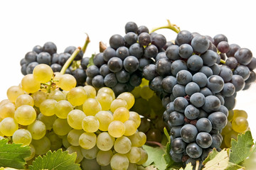 uvas 9