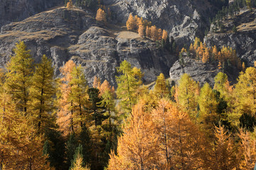 Schweizer Alpen