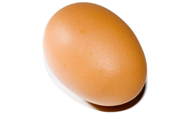 oeuf sur fond blanc