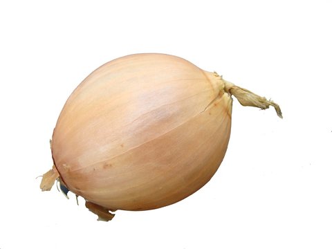 oignon