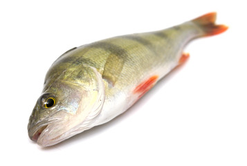 perch