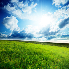 Obraz premium field of spring grass and sun