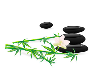Fototapeta na wymiar Wellness stones with flowers - vector illustration