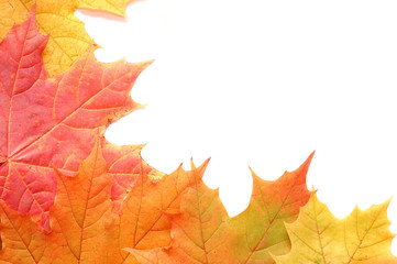 Obraz premium Frame from autumn leaves