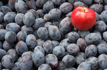 plum and apple