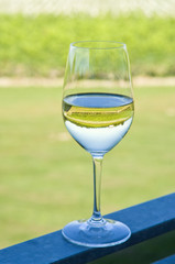 Vineyard in a Wine Glass