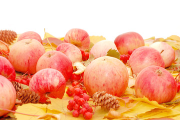 Crop of apples against autumn leaves