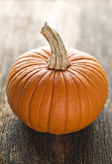 Pumpkin