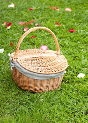 Basket on the green grass with the rose petals
