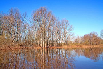 Naklejka na ściany i meble flood in wood