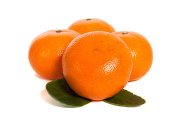mandarins