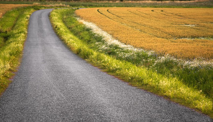 Naklejka premium Country road