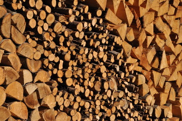 Brennholz - regenerative Energie