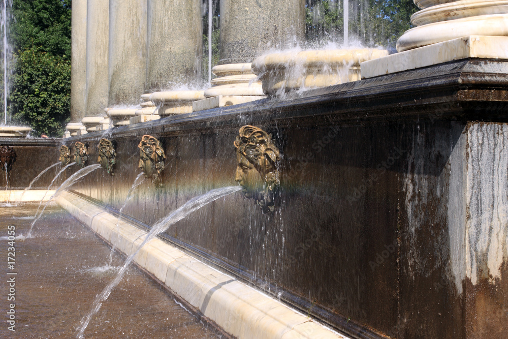 Wall mural lion's fountain in peterhof