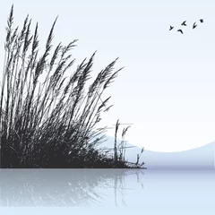 Foto op Canvas reeds in the water © Emir Simsek