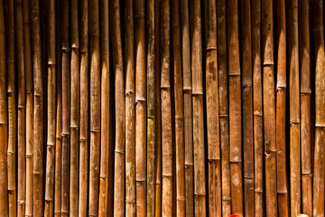 Bamboo wall