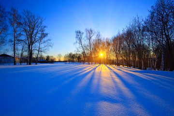 Fototapeta na wymiar Piękny zachód słońca w zimowym lesie, Rosja