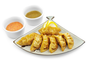 Japanese Cuisine - Fish Dumplings