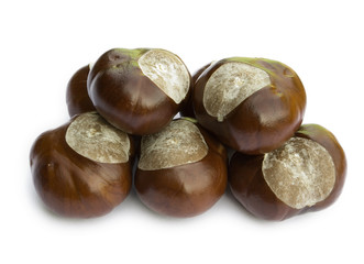 chestnuts