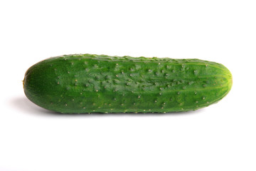 Cucumber