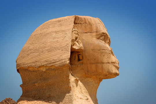 Egyptian sphinx