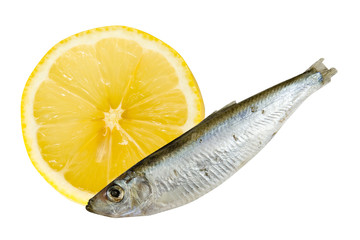 Sardine with lemon composition