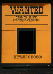 Wanted dead or alive poster - 17244842