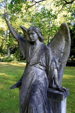 Engel