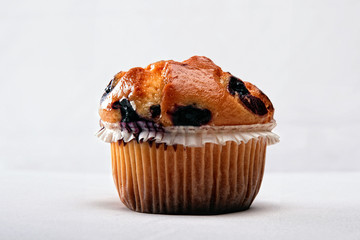 Blueberry Muffin