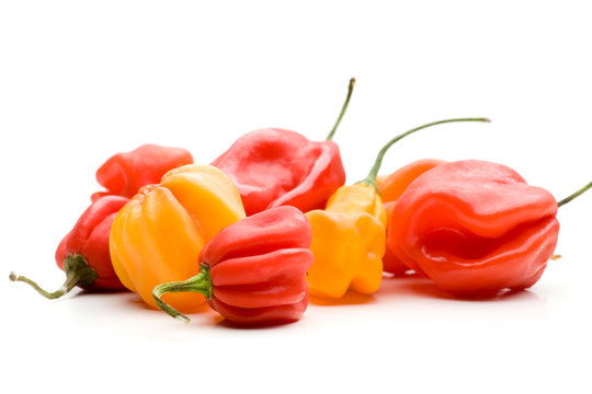 Einige Habaneros zusammen