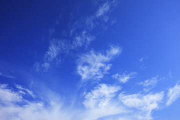 Obraz premium 青空