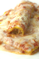Cannelloni di carne