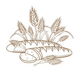 Illustration of ripe ears and bread for your designs.