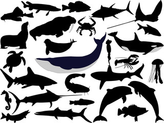 collection of aquatic life vector silhouettes