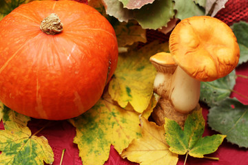 kürbis pilz und bunte blätter © Tama-Tama
