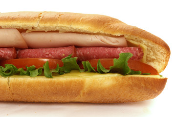 salami sub sadwich