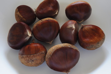 chestnut