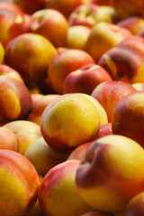 pile of nectarines