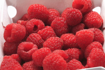 ラズベリー